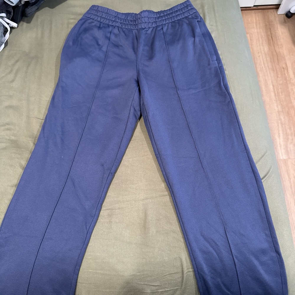 Aritzia Blue Track Pants